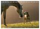 Thumbnail-11