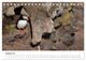 Thumbnail-13