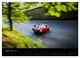 Thumbnail-13