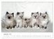 Thumbnail-14