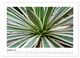 Thumbnail-11