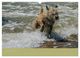 Thumbnail-14