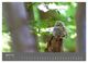Thumbnail-9