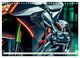 Thumbnail-10