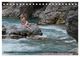 Thumbnail-11