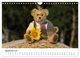 Thumbnail-11