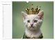 Thumbnail-4