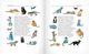 Thumbnail-2