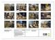 Thumbnail-13