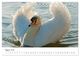 Thumbnail-10