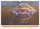 Thumbnail-10