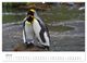 Thumbnail-11