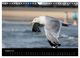 Thumbnail-10