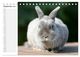 Thumbnail-14