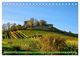 Thumbnail-12
