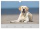 Thumbnail-12