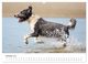 Thumbnail-11