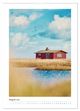Thumbnail-12