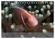 Thumbnail-11