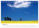 Thumbnail-12