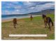 Thumbnail-10