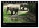 Thumbnail-9