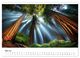 Thumbnail-9