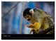Thumbnail-11