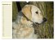 Thumbnail-11