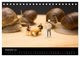 Thumbnail-14