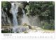 Thumbnail-13