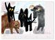 Thumbnail-8