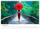 Thumbnail-14
