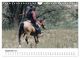 Thumbnail-14