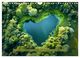 Thumbnail-11