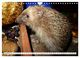 Thumbnail-14