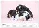 Thumbnail-10