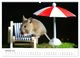 Thumbnail-12