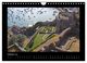 Thumbnail-12