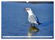 Thumbnail-14