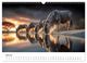 Thumbnail-9