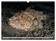 Thumbnail-12