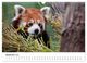 Thumbnail-14