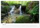 Thumbnail-11