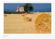 Thumbnail-10