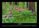 Thumbnail-11