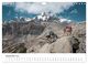 Thumbnail-14