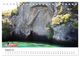 Thumbnail-13