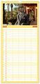 Thumbnail-11