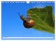 Thumbnail-13